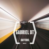 Gabriel DT - Daffodil mix