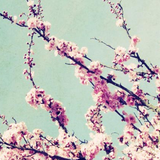 #Funkot Mix - April 2014