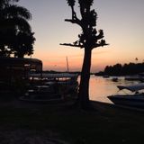 Nature Sounds - Boipeba, Bahia - Brazil