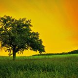 Chill Reggae Dubstep Big Bass Summer Mix 2013