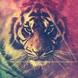 EDM remix 2