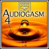 PucK - Audiogasm 4
