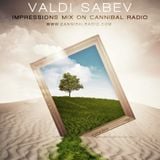 Valdi Sabev on Chilling...Earth