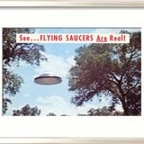 flying saucers are real