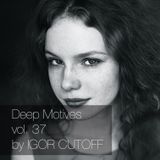 Deep Motives vol. 37