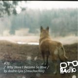 #31. andra ljos (2muchachos) - why have i become so blue