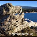 Andre Rheaume Cloudcast #27