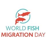 Pao Fernández Garrido nos cuenta de qué se trata el World Fish Migration Day