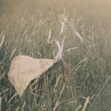 Episode 21: Autumn/Fall