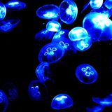 Submarinemix