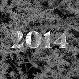 Goodbye 2014