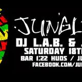 JUNGLISM PROMO MIX
