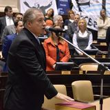 Diputado Fernandez