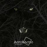 AcrobActic #10