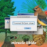 Terminal Dream Team #2