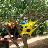 Ozmali - Under the Wacky Woods - 2012 - dj set