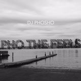 DJ Phosho - Pho The Feels