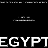 Sadek Sellam et Jean-Michel Vernochet - Débat sur la destitution de Morsi