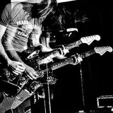 the {white noise} playlist