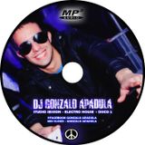- STUDIO SESSION - ELECTRO HOUSE - DISCO 2 - DJ GONZALO APADULA.mp3