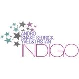 Indigo 17