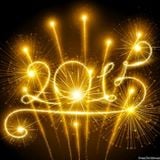Best of 2015