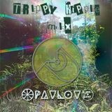 Trippy Hippie Mix