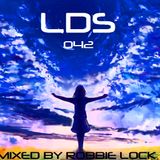 LDS 042 MIXED BY ROBBIE LOCK