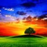 Dream Trance Mix 003