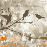 JAY BIRD PRESENTS SUMMER SESSIONS 2015