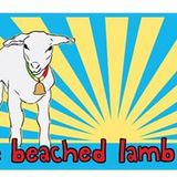 Adski Live @ The Beach Lamb Newquay 30=07=13 Funk, Soul, Reggae & More