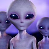 Contact 04 - Groove