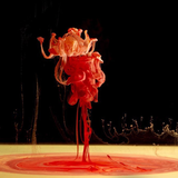 Liquid Lounge - Hallucinogenic Frequencies...
