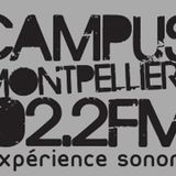 Matinale du jeudi 17 janvier 2013 sur Radio Campus Montpellier
