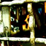 serious series #106