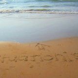 Shituationist institute special #39 En Lektronik july 2013