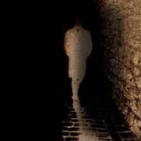 Tomin Tomovic - Darkest thoughts
