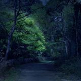 Dark Path vol.2
