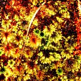 Eight Track Mix #2
