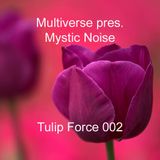 Multiverse pres. Mystic Noise - Tulip Force 002