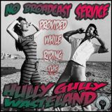 Beat Baerbl's "There's-No-Broadcast-Service-Provided-At-The-HullyGully-Wasteland"-Mixtape