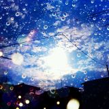 Sounds of Rain