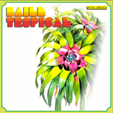 Baile Tropical #97 SEUL - 트로피칼 파티