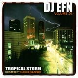 DJ EFN - Vol 29 (Tropical Storm)