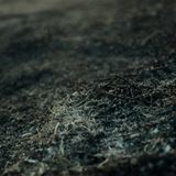 ondust