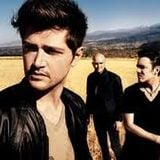 Access All Area's - The Script