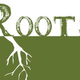 Roots 2013 Vol. 1