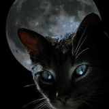 Dark-Ro