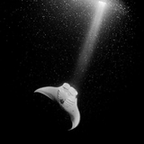 deep in the night