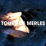 Tours de Merle